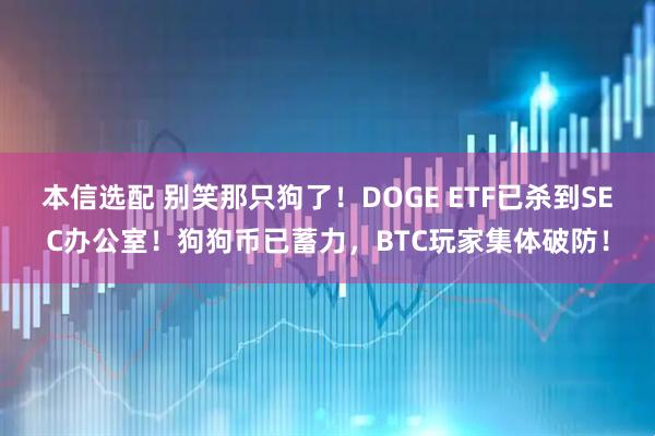 本信選配 別笑那只狗了！DOGE ETF已殺到SEC辦公室！狗狗幣已蓄力，BTC玩家集體破防！