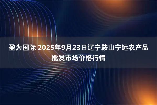 盈為國(guó)際 2025年9月23日遼寧鞍山寧遠(yuǎn)農(nóng)產(chǎn)品批發(fā)市場(chǎng)價(jià)格行情